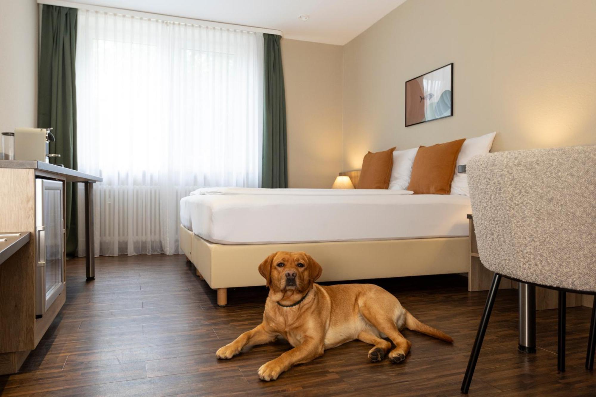 Hotel Fischzucht In Wuerzburg Kültér fotó